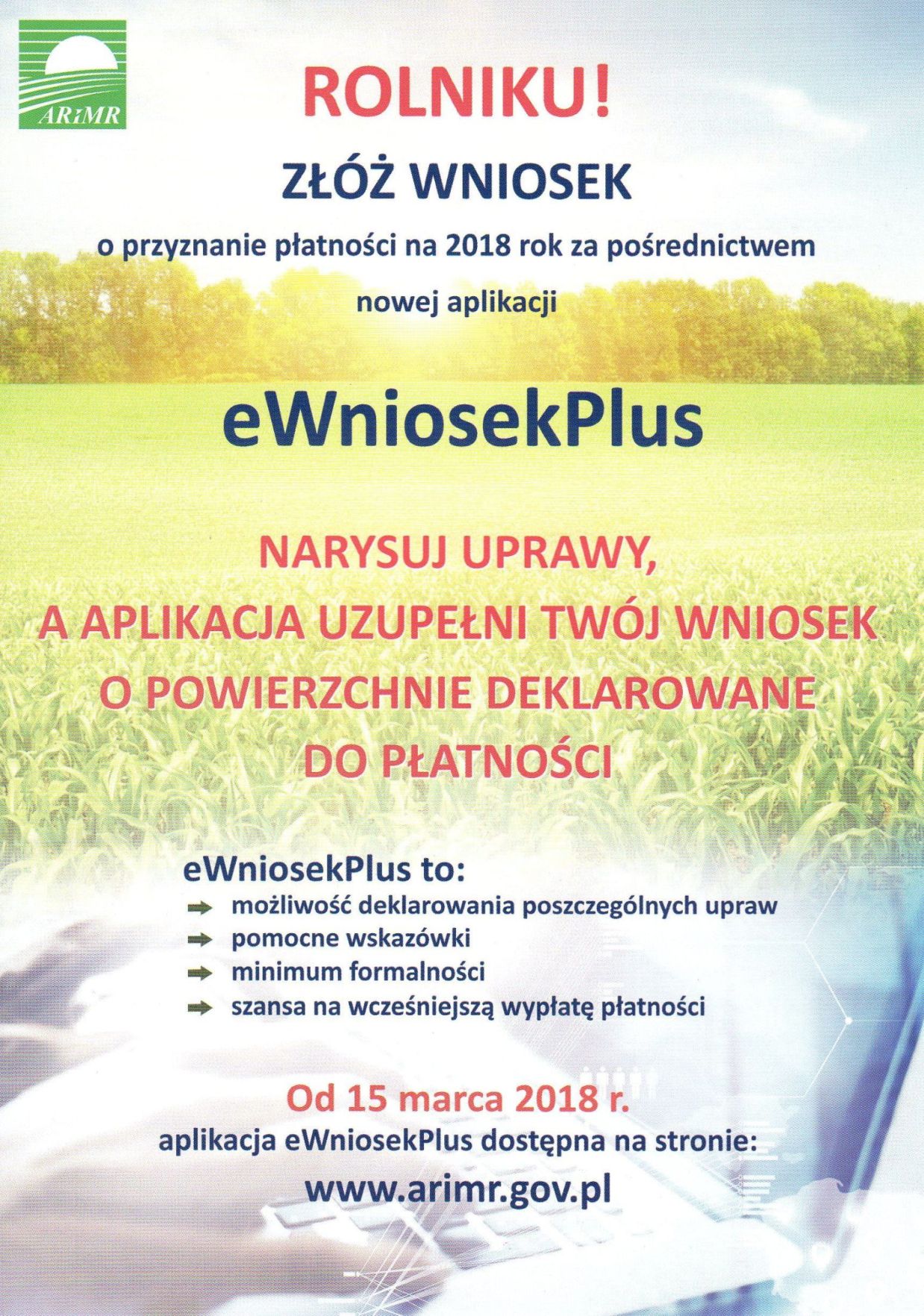 zobacz więcej zdjęć 