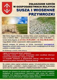 zobacz więcej zdjęć 
